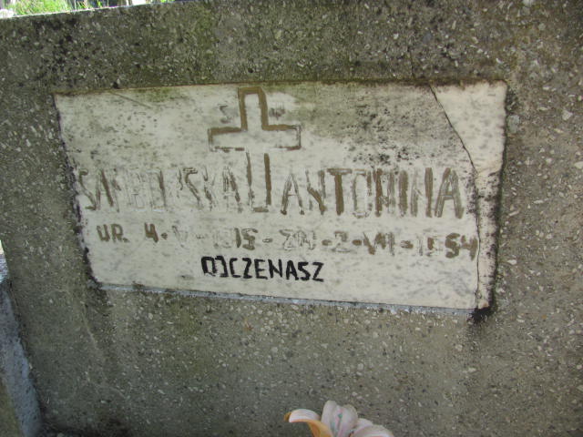 Antonina Sambarska 1915 Cedynia - Grobonet - Wyszukiwarka osób pochowanych