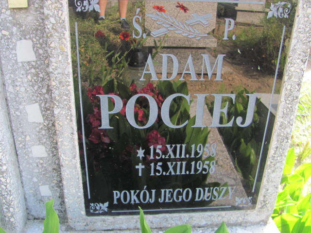 Adam Pociej 1958 Cedynia - Grobonet - Wyszukiwarka osób pochowanych