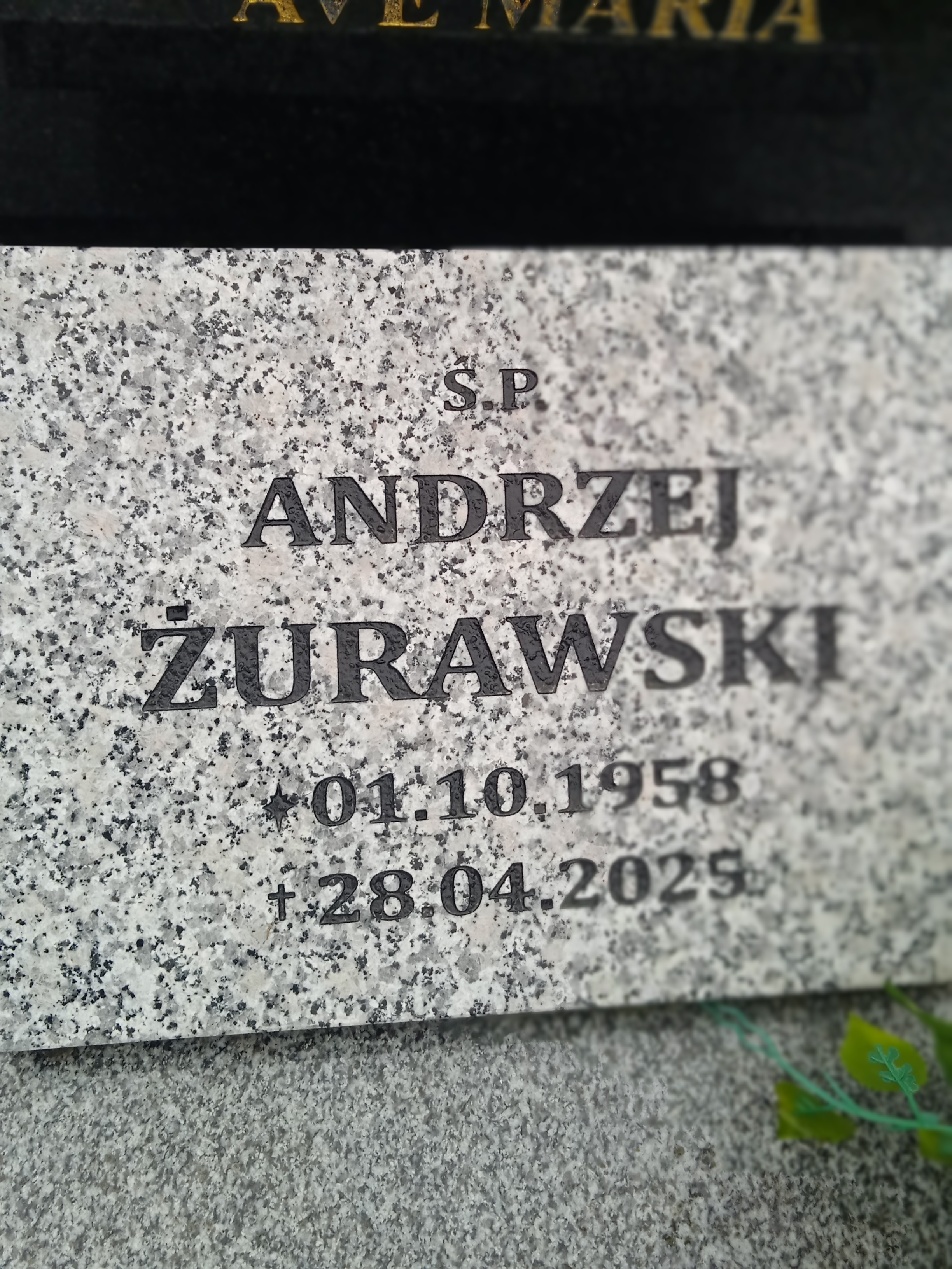 Zdjęcie grobu