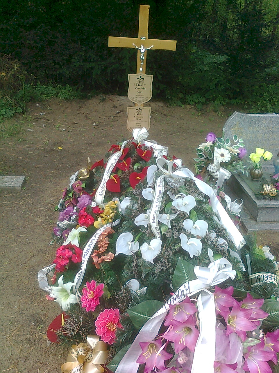Kazimierz Śliwa 1968 Cedynia - Grobonet - Wyszukiwarka osób pochowanych