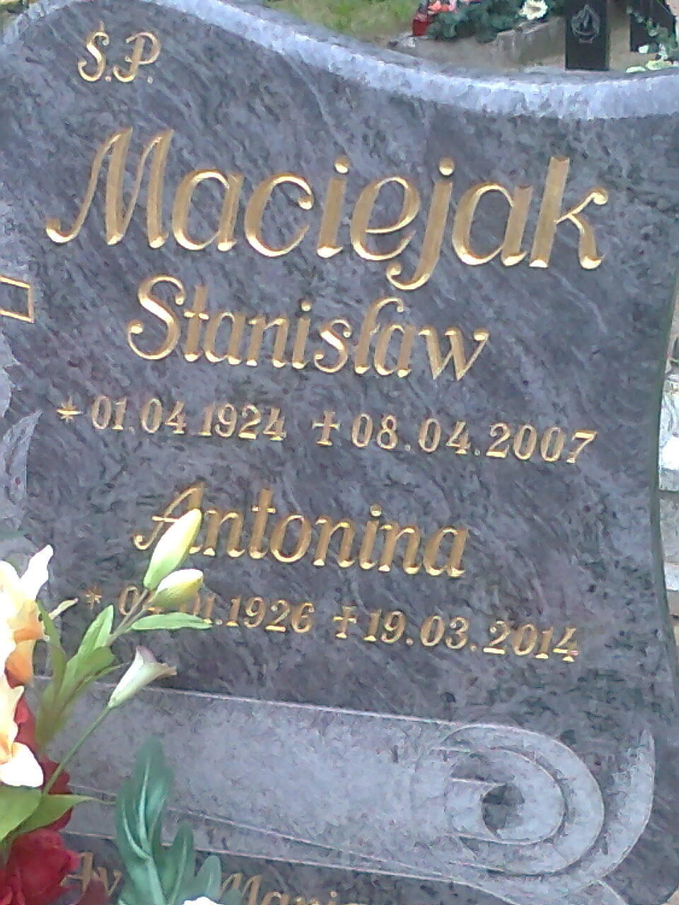 Stanisław Maciejak 1924 Cedynia - Grobonet - Wyszukiwarka osób pochowanych